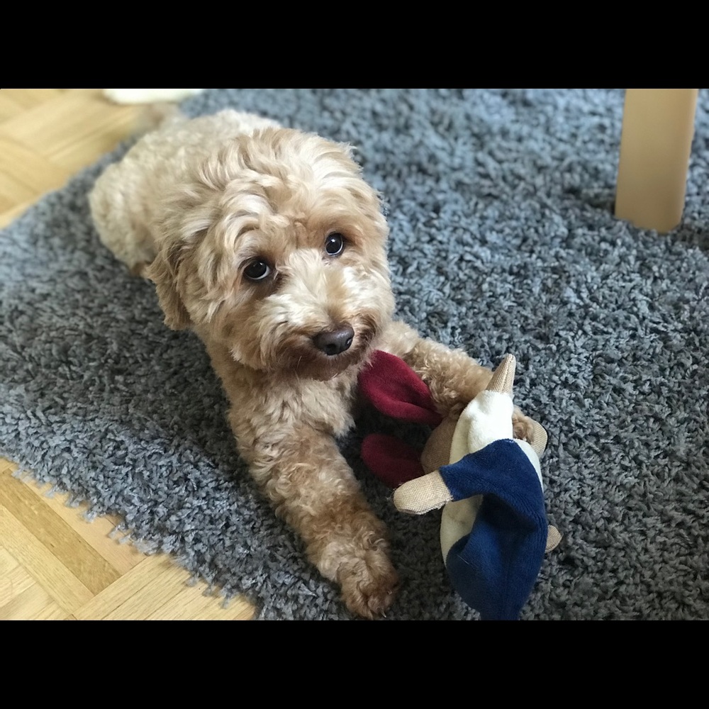 Meet your Posher, Danna